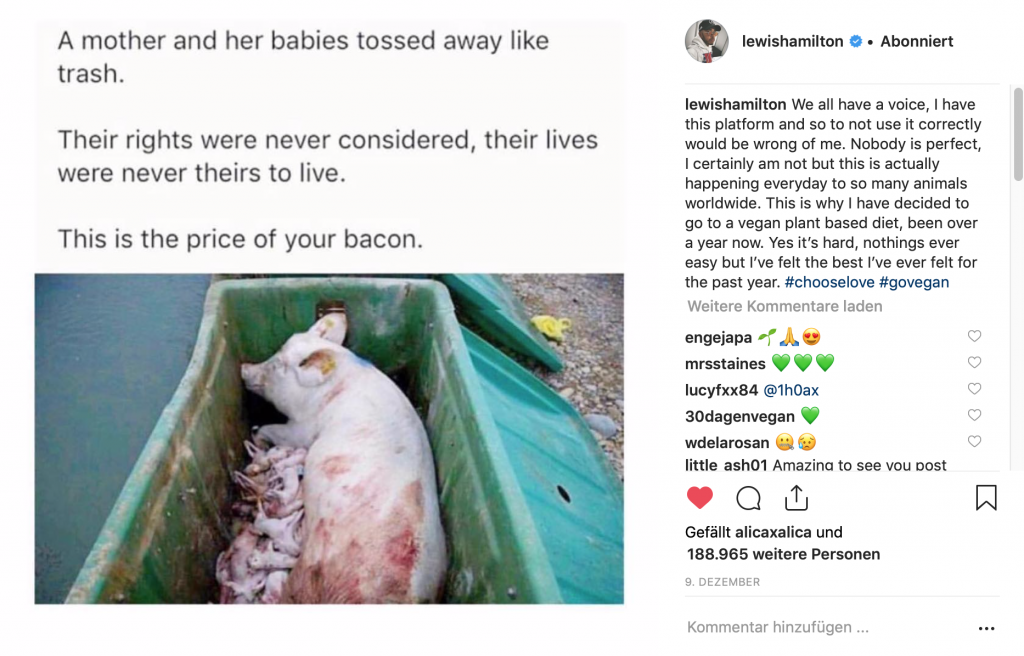Lewis Hamilton vegane Promis Tierschutz