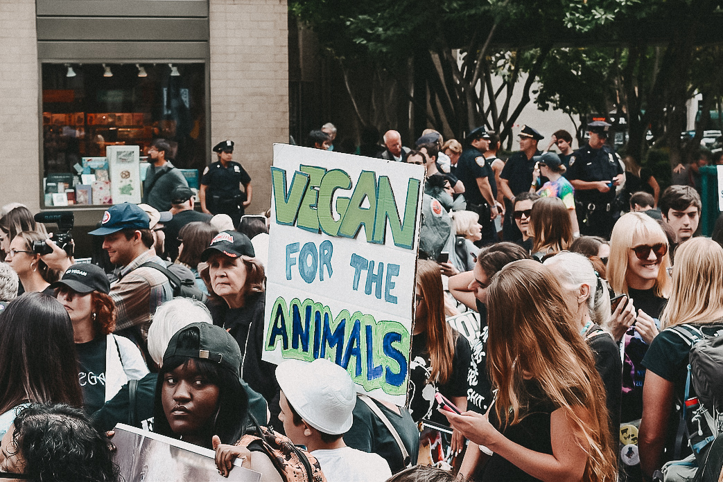 Weltvegantag Tierschutz vegan